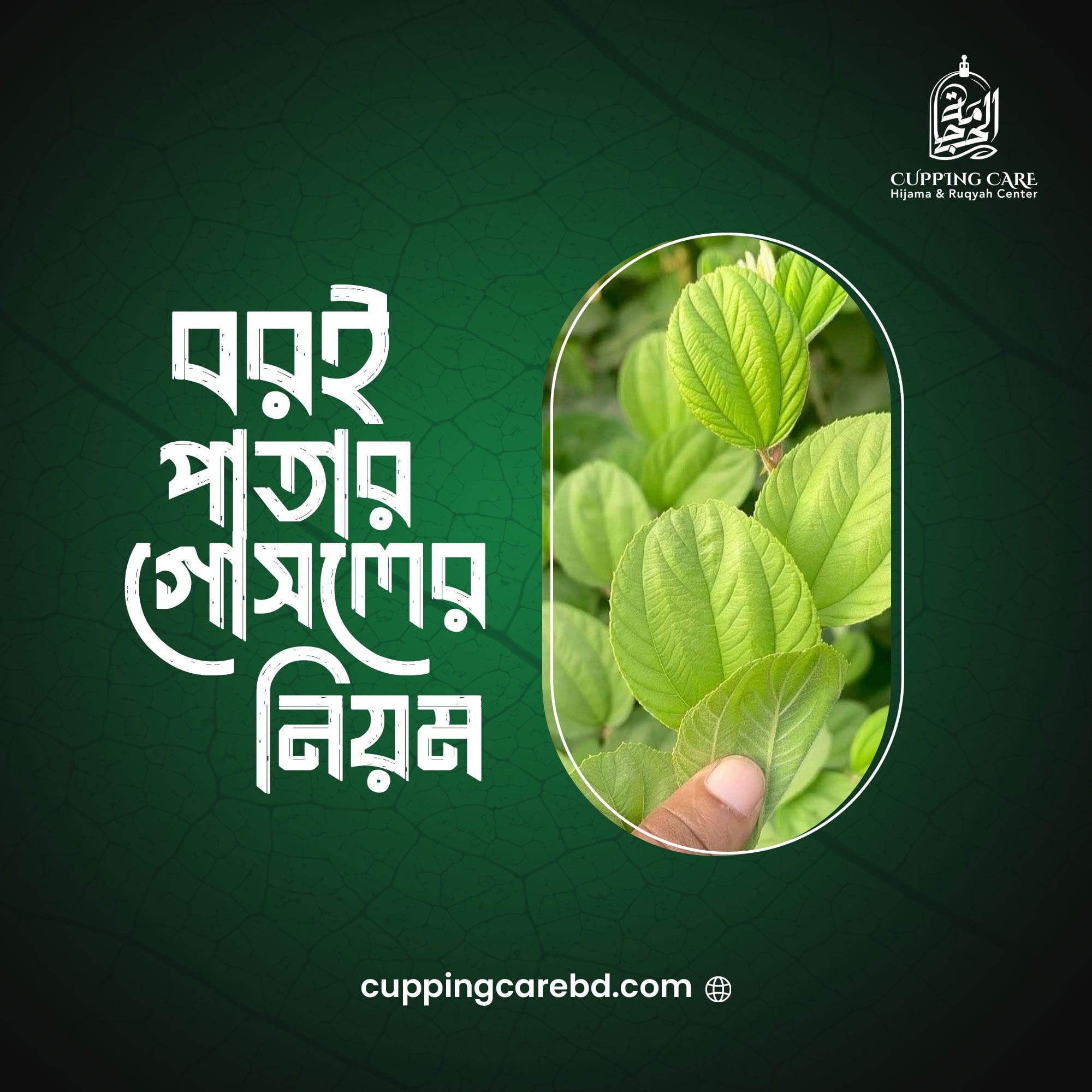 বরই পাতার পানি দিয়ে রুকইয়াহ গোসলের সহজ পদ্ধতি